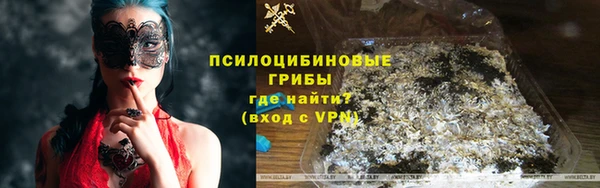 МДПВ Богородицк