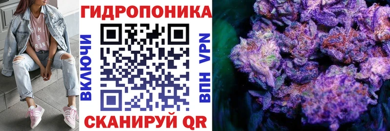 Каннабис White Widow  блэк спрут маркетплейс  Богородицк  где можно купить наркотик 